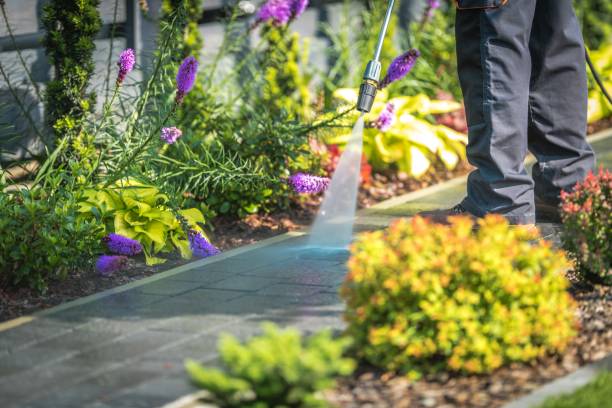 Best Gutter Cleaning  in East Rancho Dominguez, CA