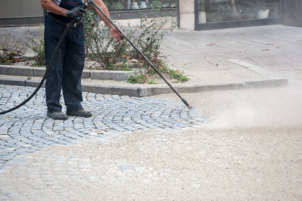 Pre-Holiday Cleaning in East Rancho Dominguez, CA
